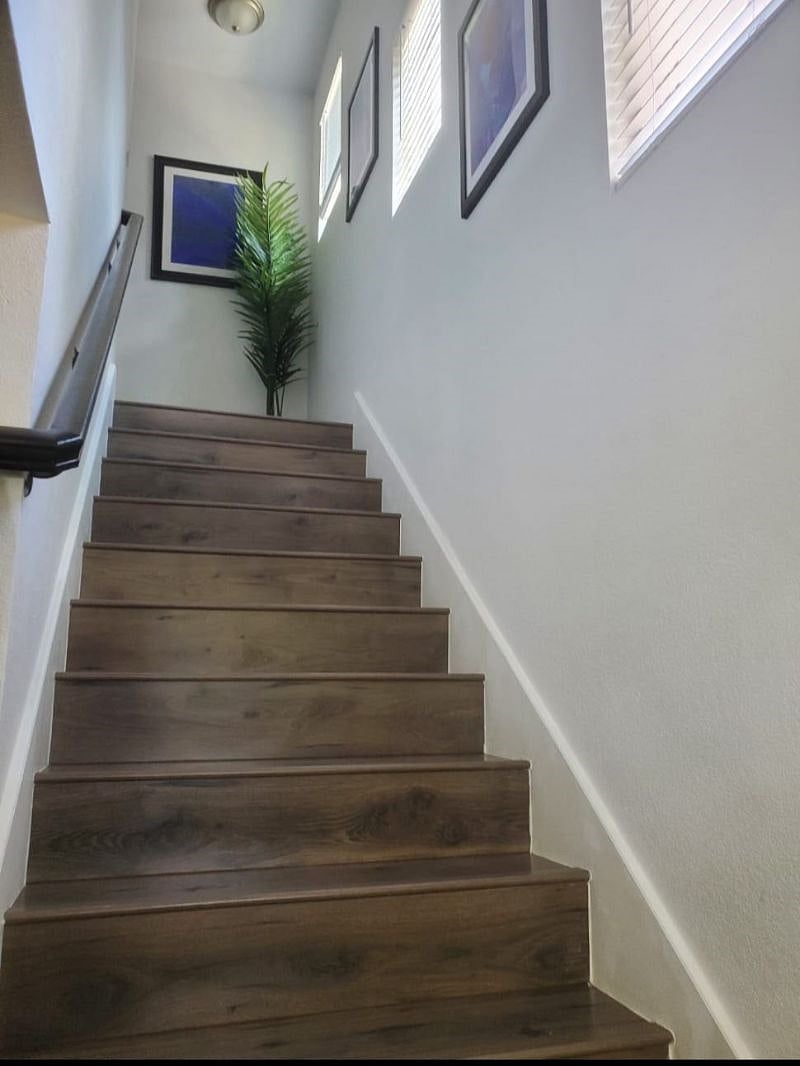 Furnished Finder property 303647_2 photo 15