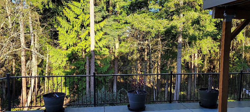 Patio Area