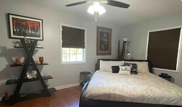 Furnished Finder property 303786_2 photo 5