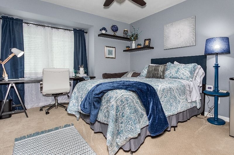 Furnished Finder property 303942_1 photo 15
