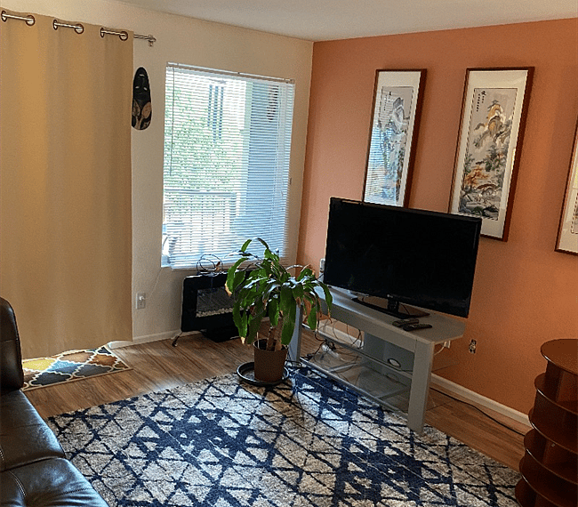 Furnished Finder property 304034_1 photo 10