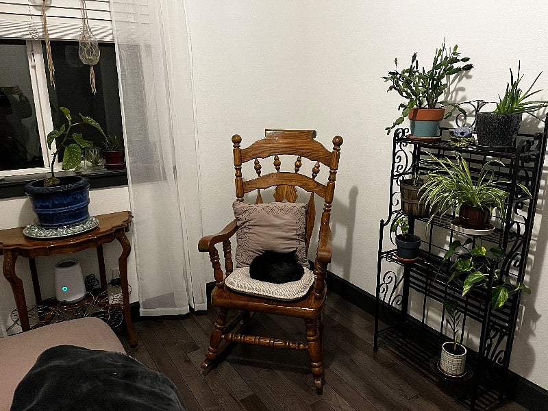 Furnished Finder property 304181_1 photo 12