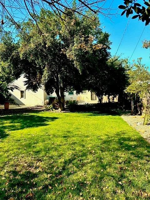 Furnished Finder property 304495_1 photo 32
