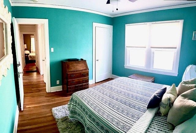 Furnished Finder property 304495_1 photo 26