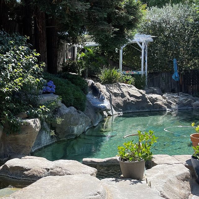 backyard Oasis to enjoy