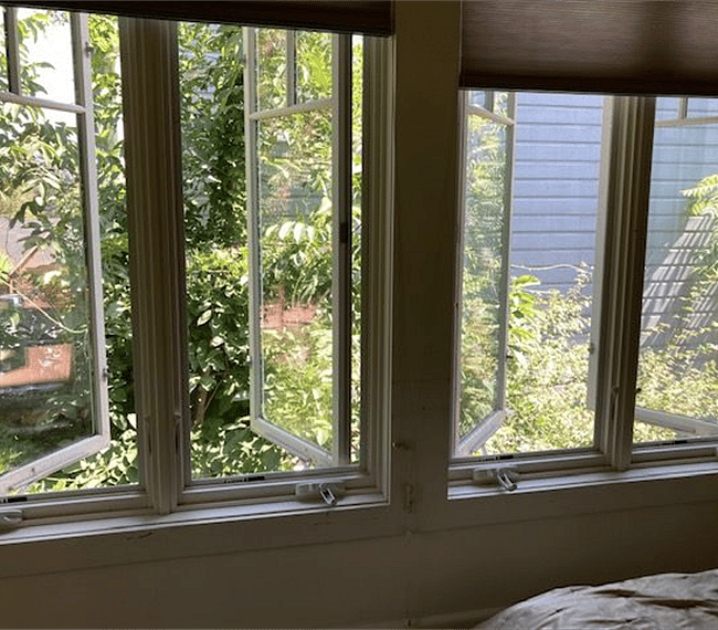 Wall of windows!