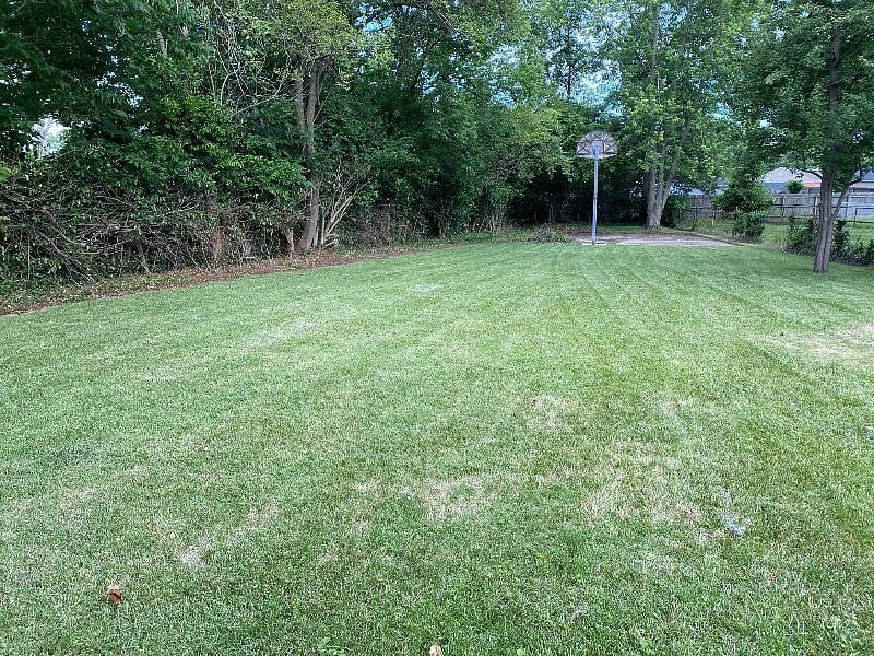 Furnished Finder property 304633_1 photo 19