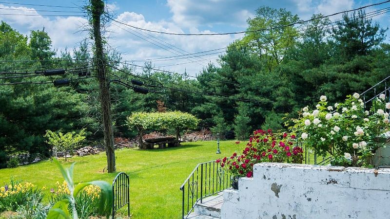 Front yard