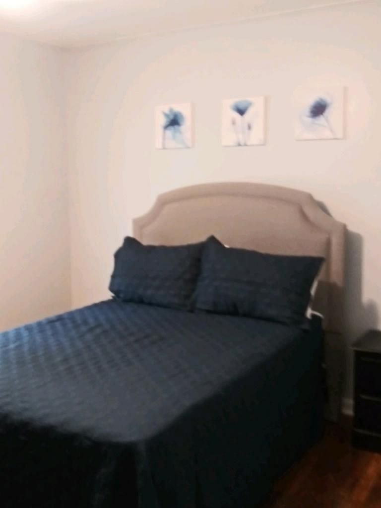 Furnished Finder property 304688_1 photo 6