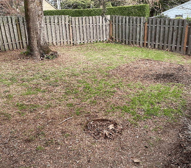 Fully Fenced Big back yard with wide Deck