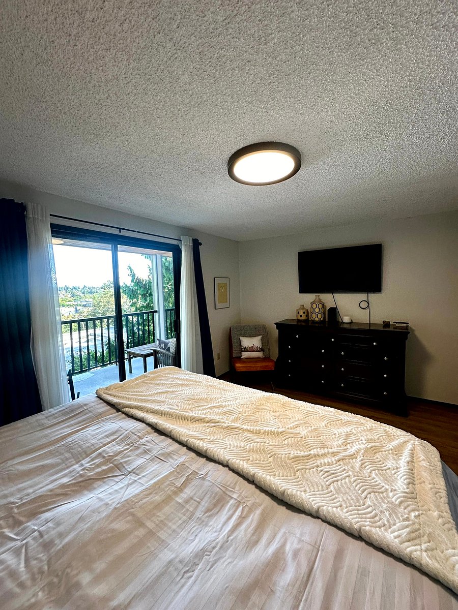 Furnished Finder property 304696_1 photo 16