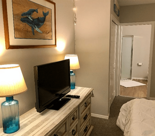 Furnished Finder property 304724_1 photo 17
