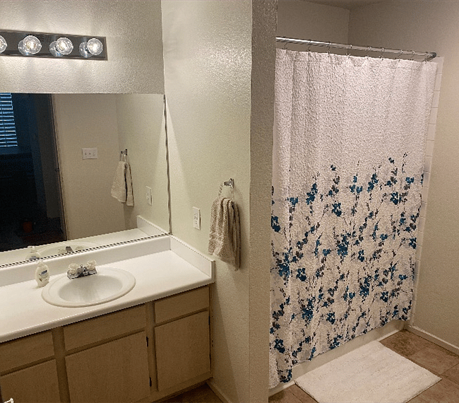 Furnished Finder property 304725_1 photo 11
