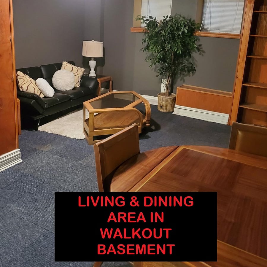 common living area basement