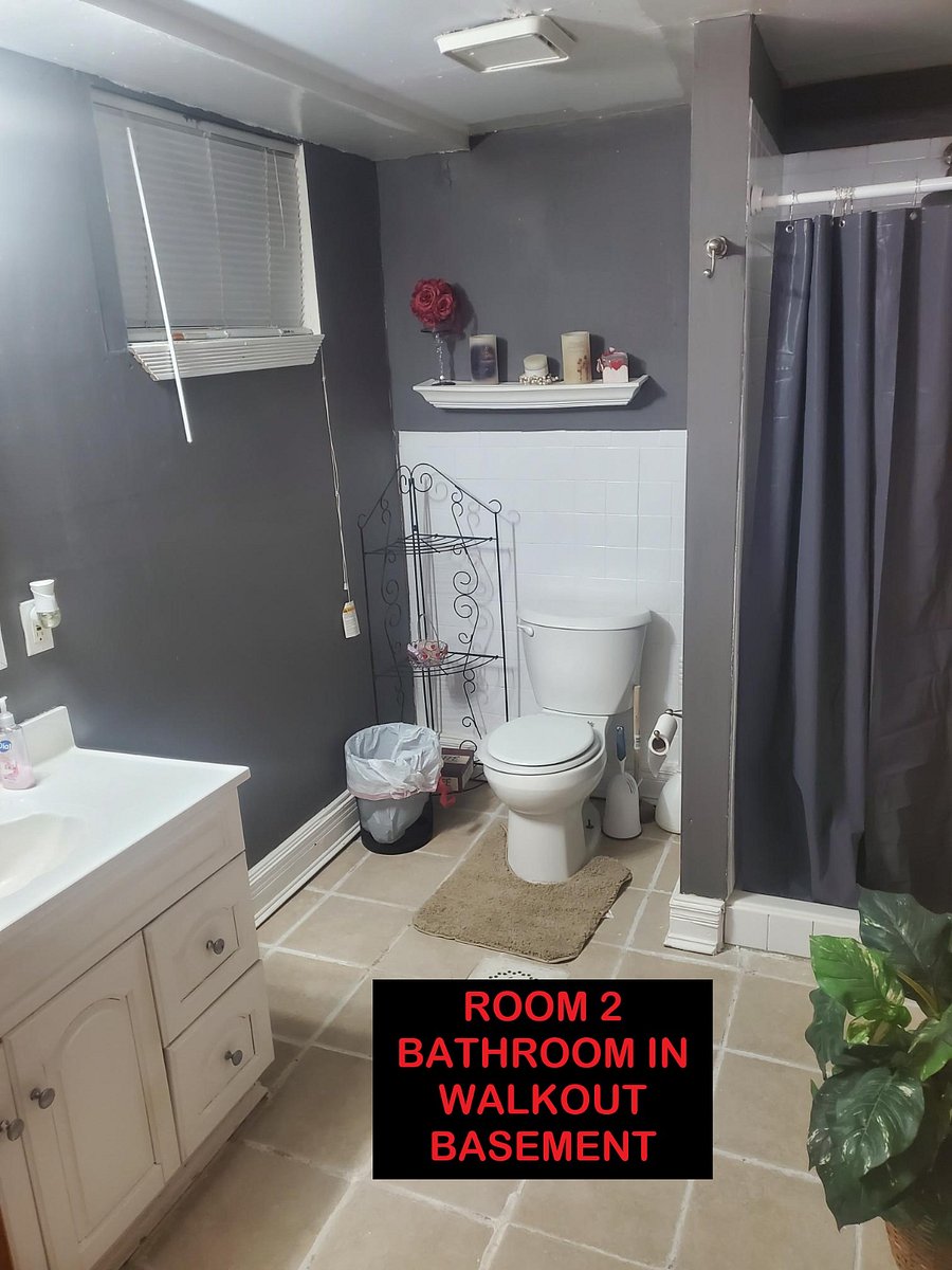 Furnished Finder property 304743_1 photo 16
