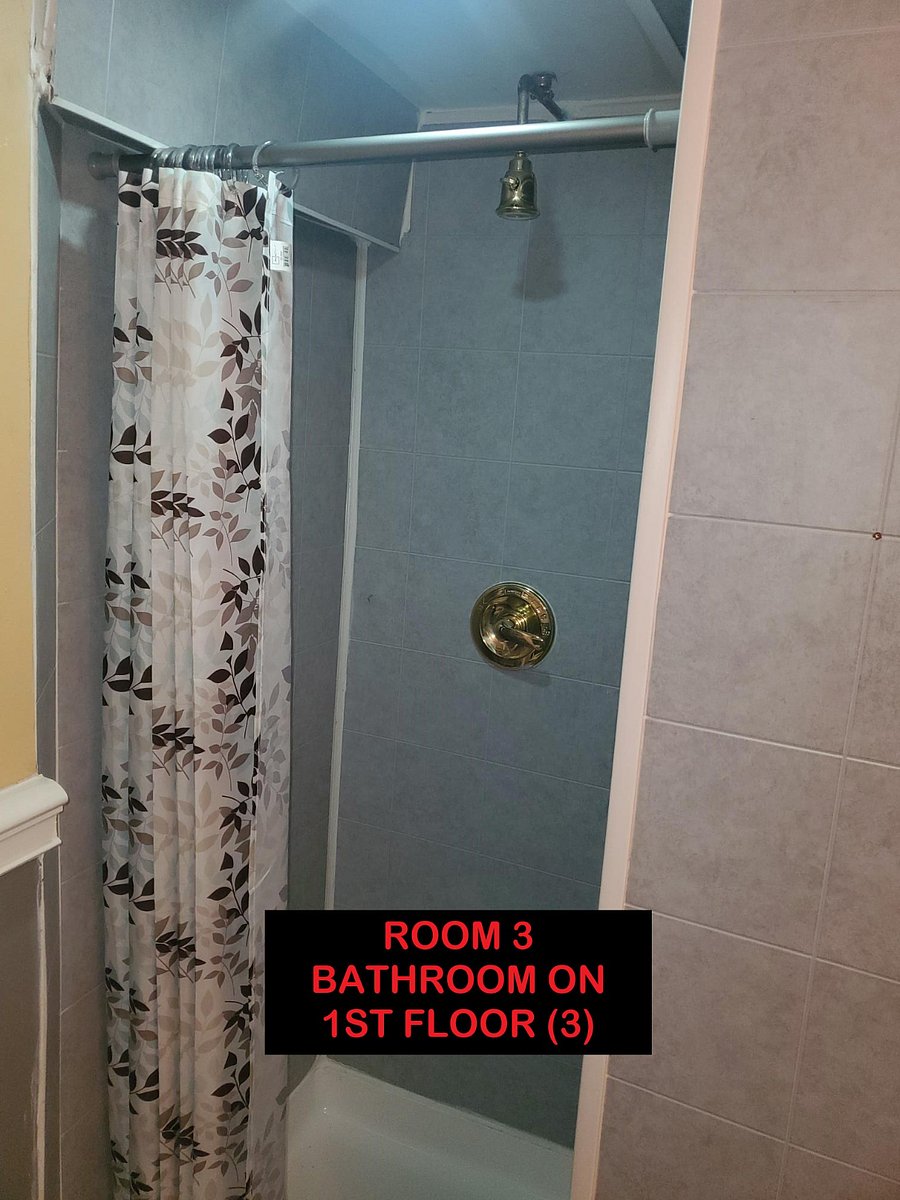 Furnished Finder property 304743_1 photo 21