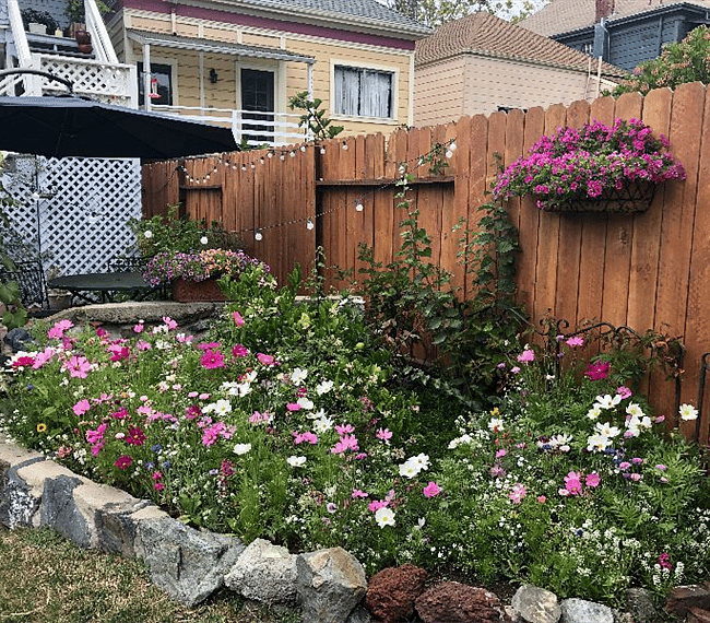 Part of the back yard in the summer.