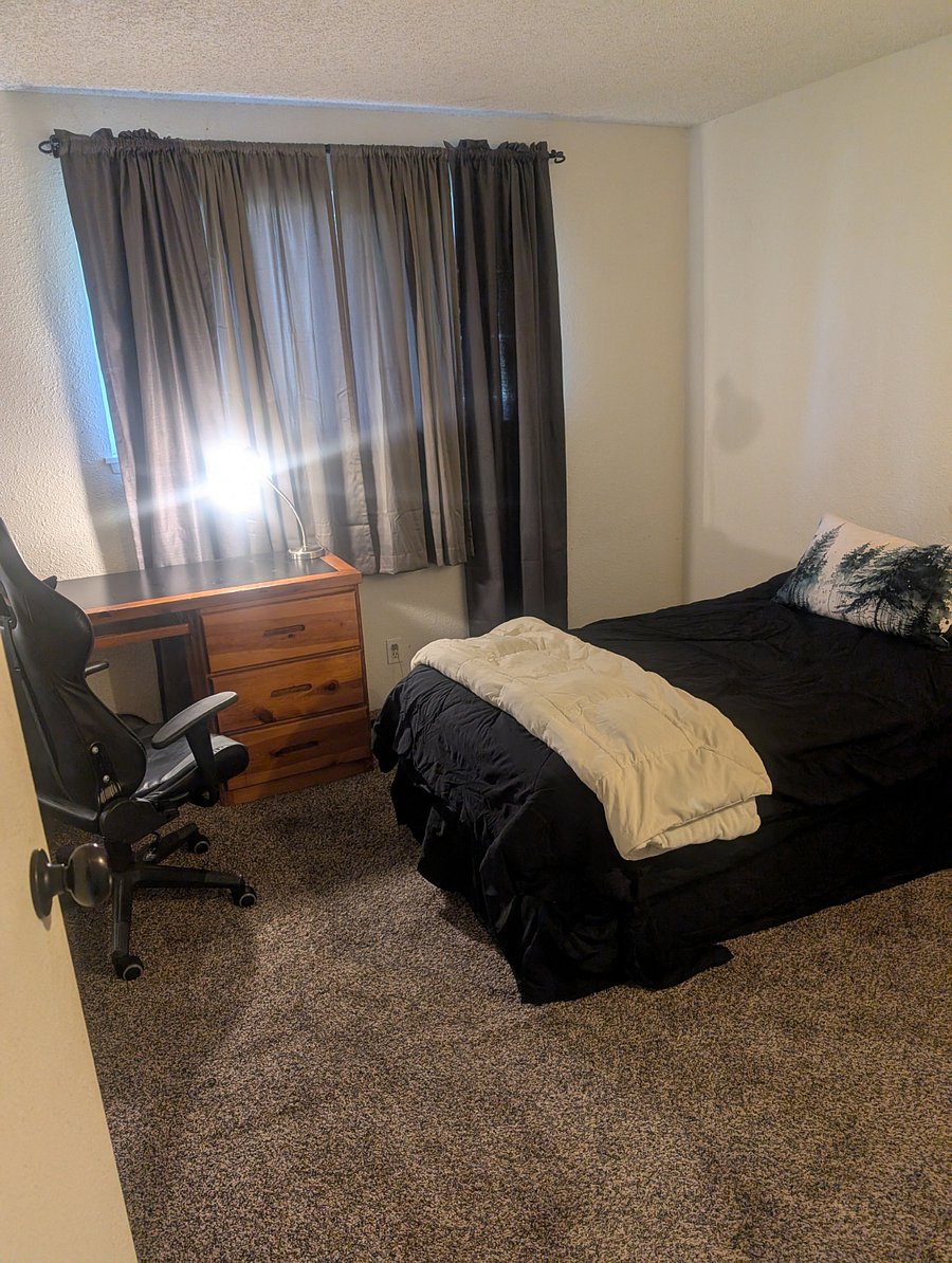 Furnished Finder property 305100_1 photo 12