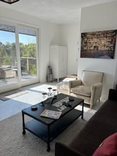 Furnished Finder property 305235_1 photo 15