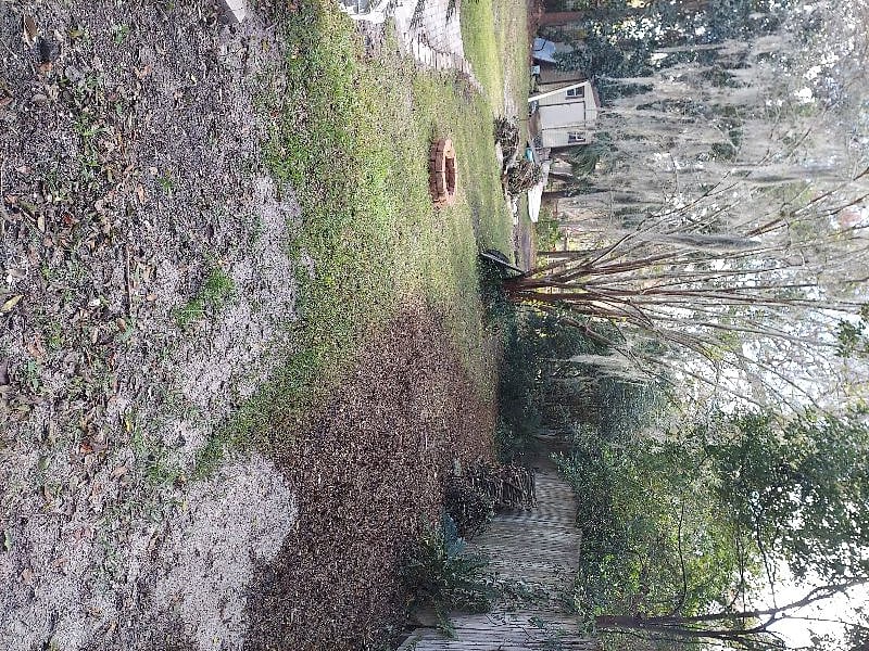 Furnished Finder property 305318_2 photo 4