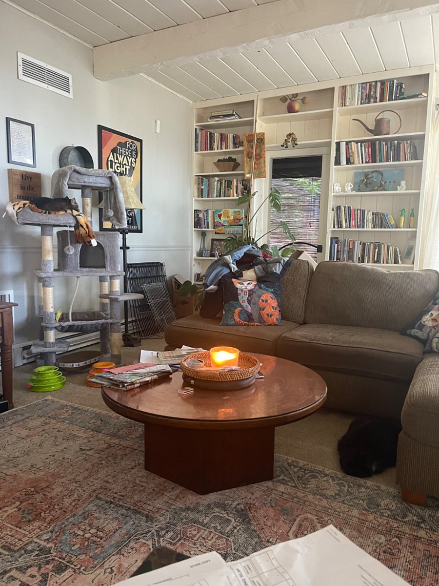Furnished Finder property 305555_1 photo 5