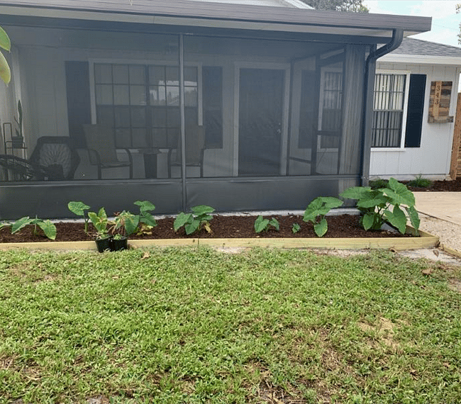A welcomig site to come home to. 