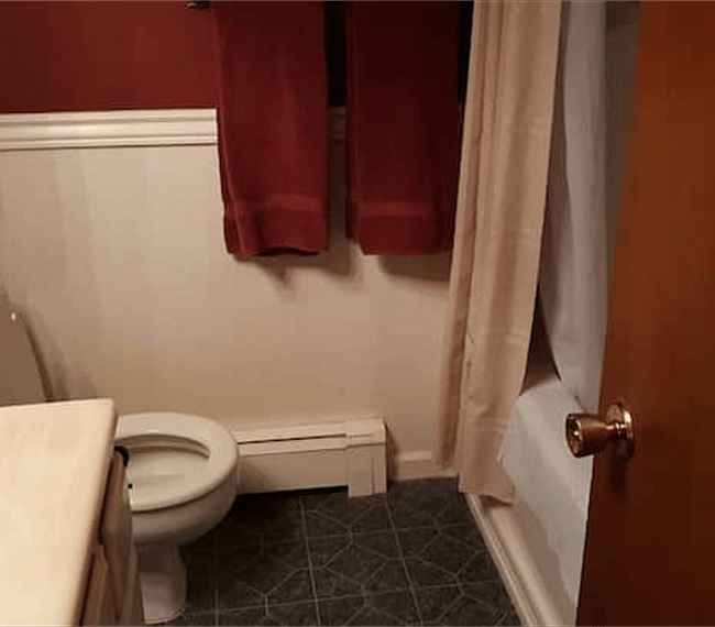 Furnished Finder property 305760_1 photo 12