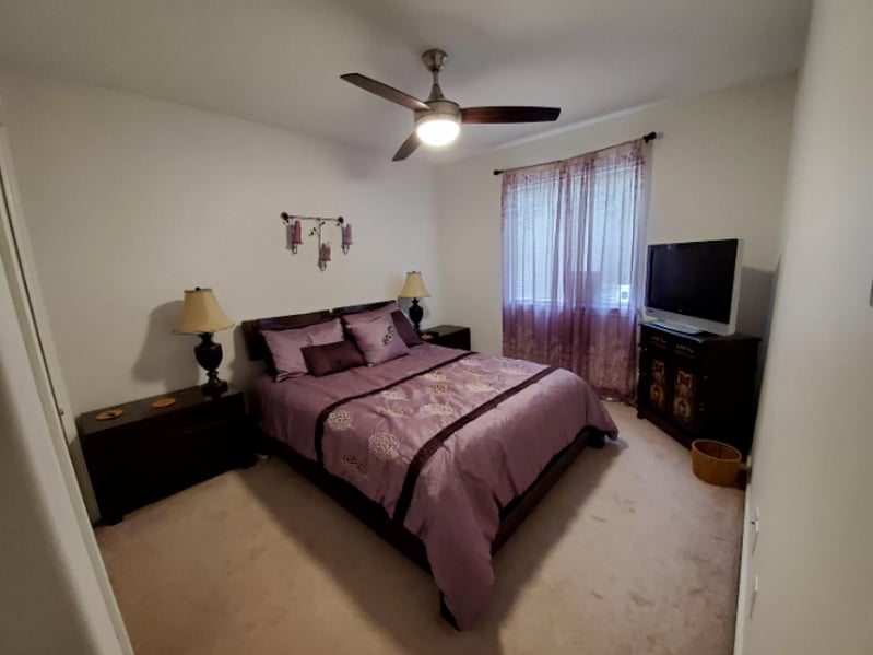 Furnished Finder property 305795_1 photo 14