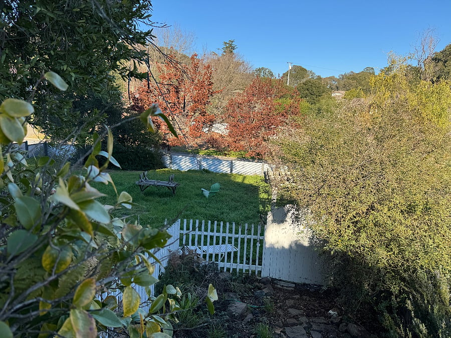 Furnished Finder property 305833_1 photo 22