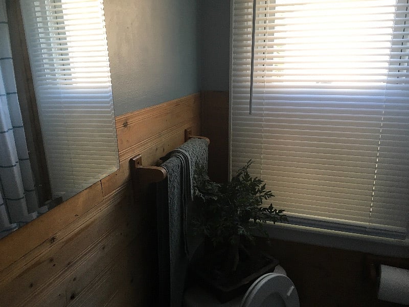 Furnished Finder property 306092_1 photo 20