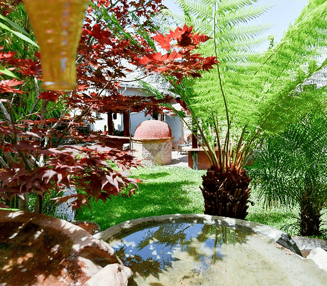 Furnished Finder property 306264_1 photo 26