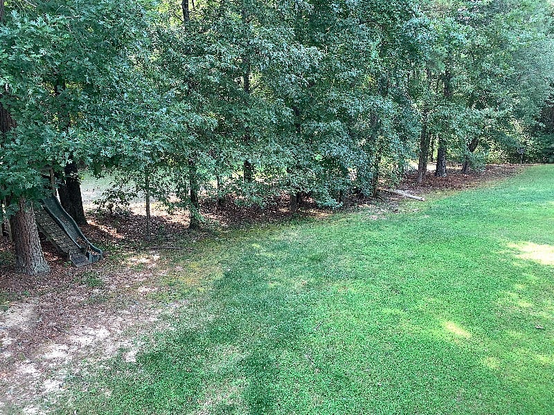 Furnished Finder property 306290_1 photo 3