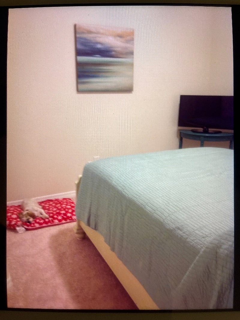 Furnished Finder property 306291_1 photo 15