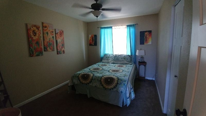Furnished Finder property 306370_1 photo 14