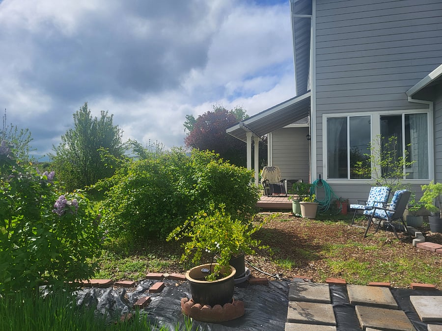 Furnished Finder property 306502_1 photo 3