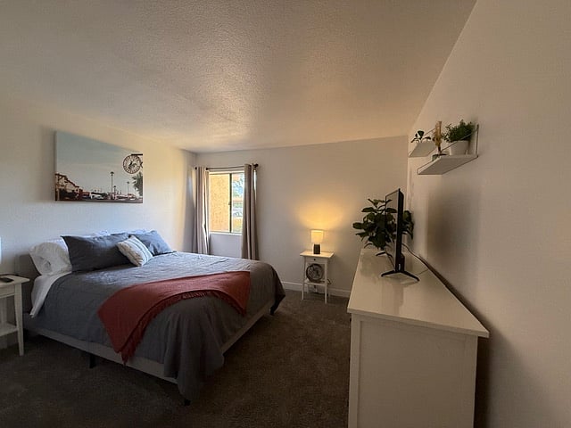 Furnished Finder property 306621_1 photo 7