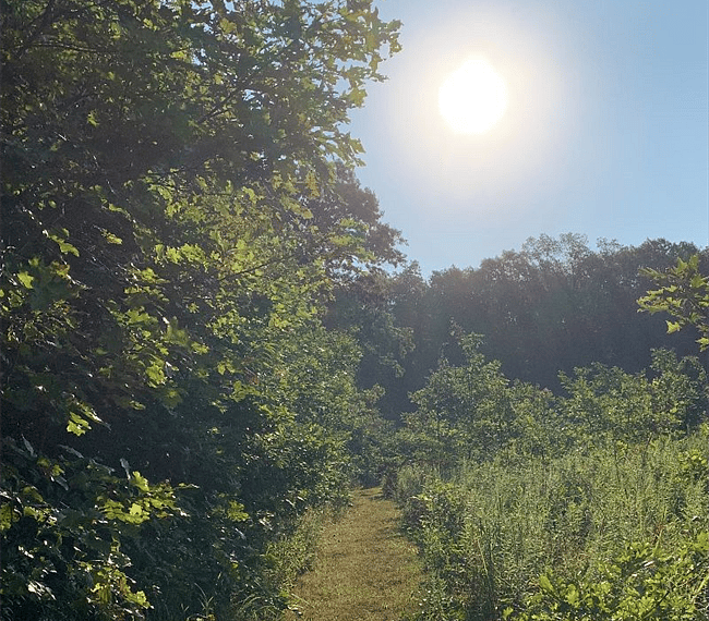 Miles of trails 