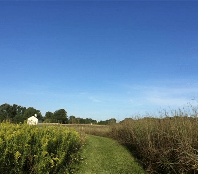 Peaceful trails lovely views 
