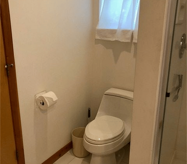 Toilet in primary bath.