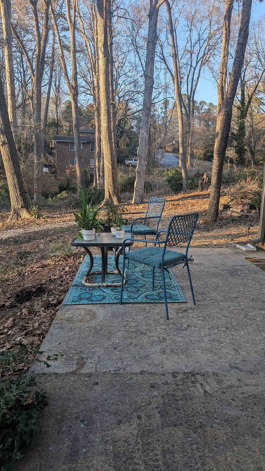 Furnished Finder property 307027_1 photo 12