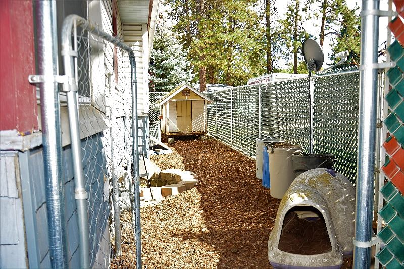 Dog Run