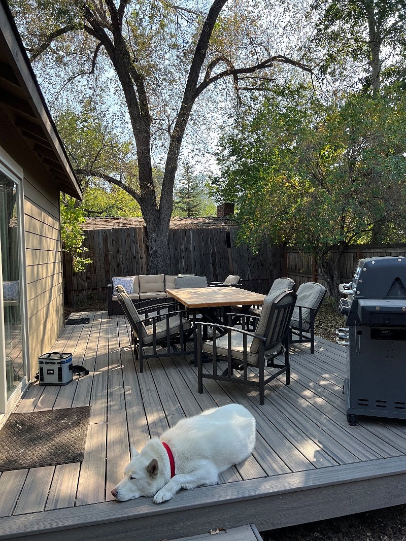 Furnished Finder property 307119_1 photo 12