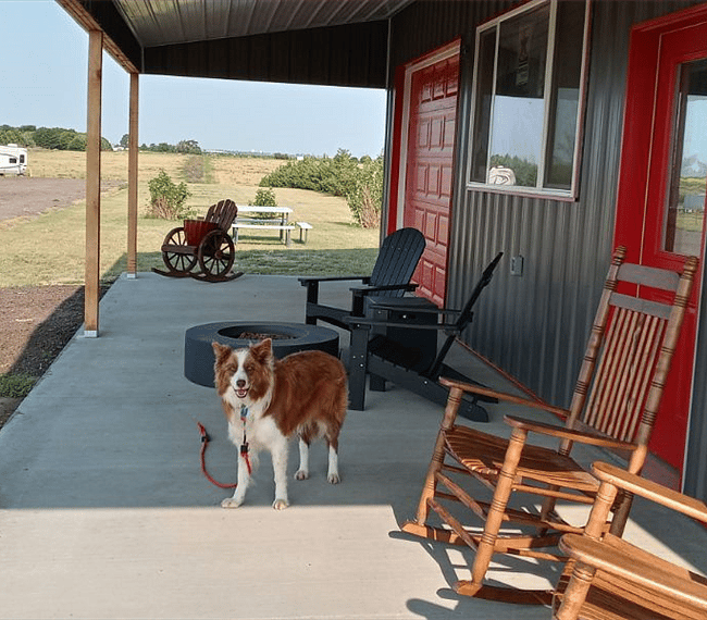 Furnished Finder property 307309_1 photo 12