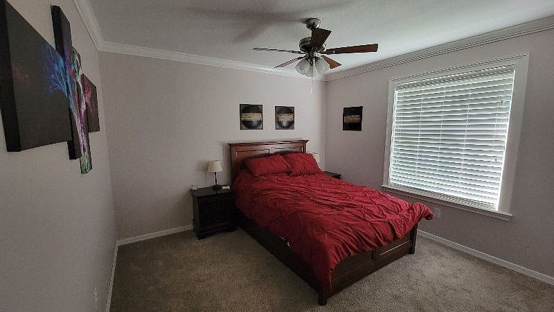 Furnished Finder property 307313_1 photo 4