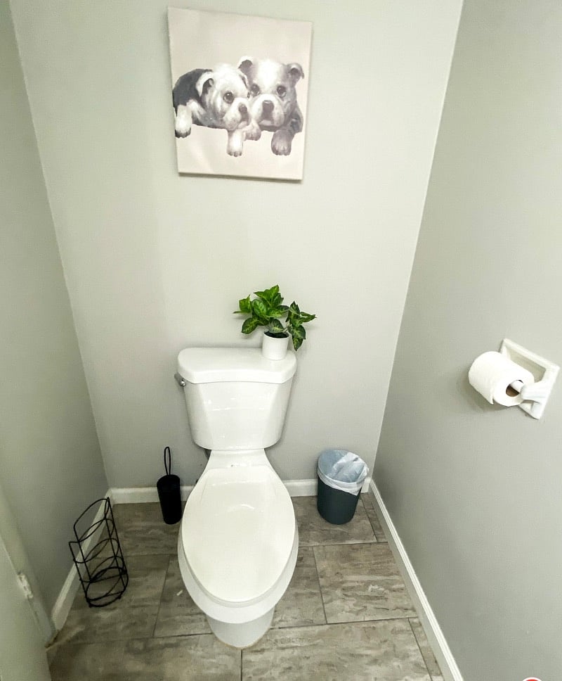 Furnished Finder property 307504_1 photo 13