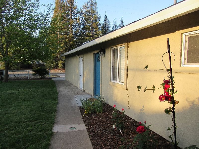 Furnished Finder property 307542_1 photo 9