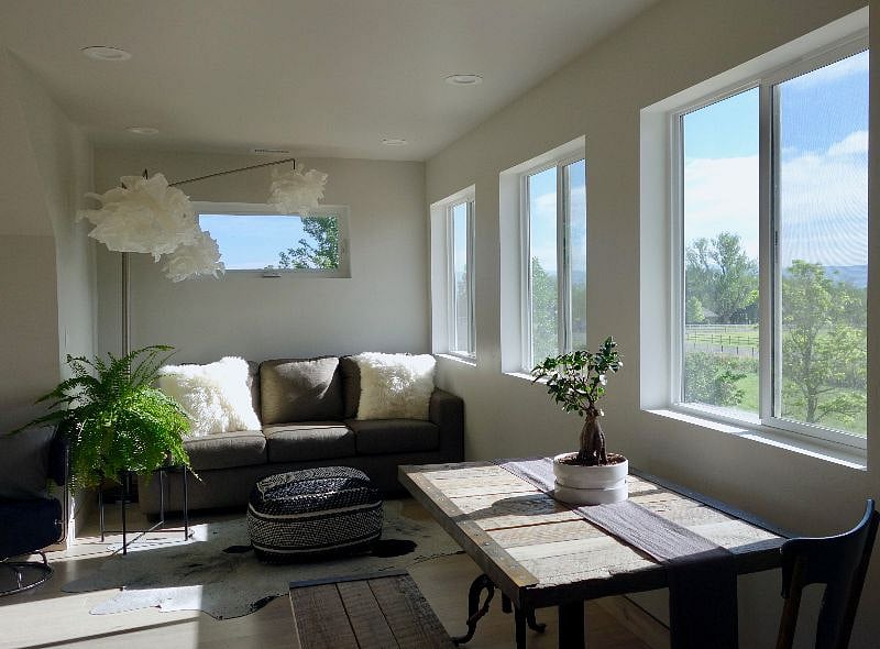 Pull out queen couch/ living room space