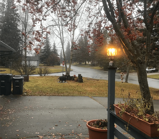 Neighborhood view