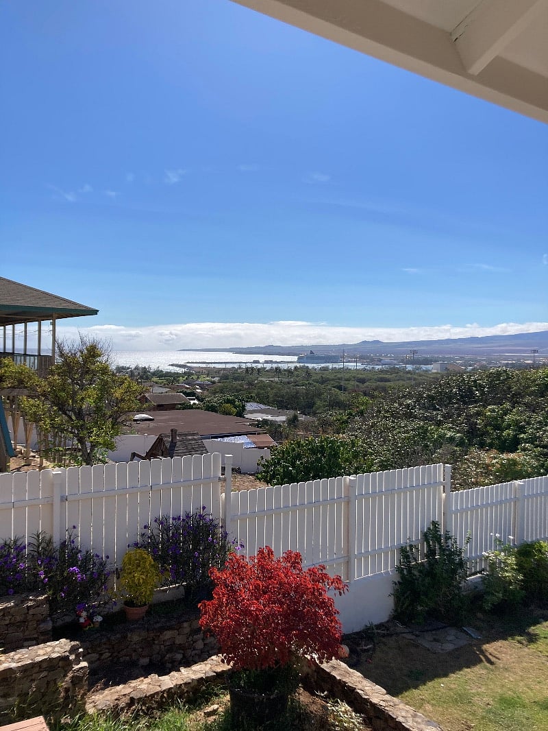 Furnished Finder property 307805_1 photo 12