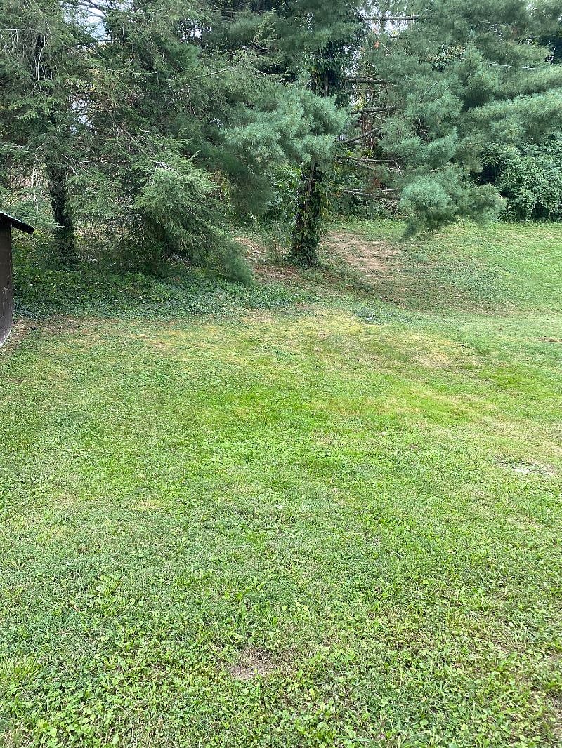 Furnished Finder property 307834_1 photo 20